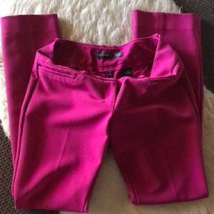The Limited Drew fit pant, hot pink